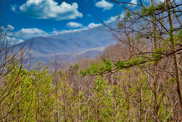 Mountain Love Nest Gatlinburg Buitenkant foto