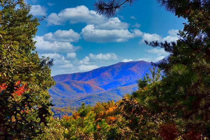 Mountain Love Nest Gatlinburg Buitenkant foto