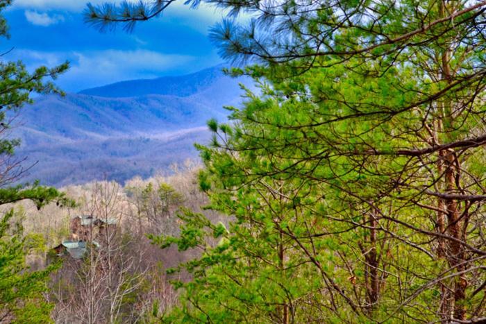 Mountain Love Nest Gatlinburg Buitenkant foto