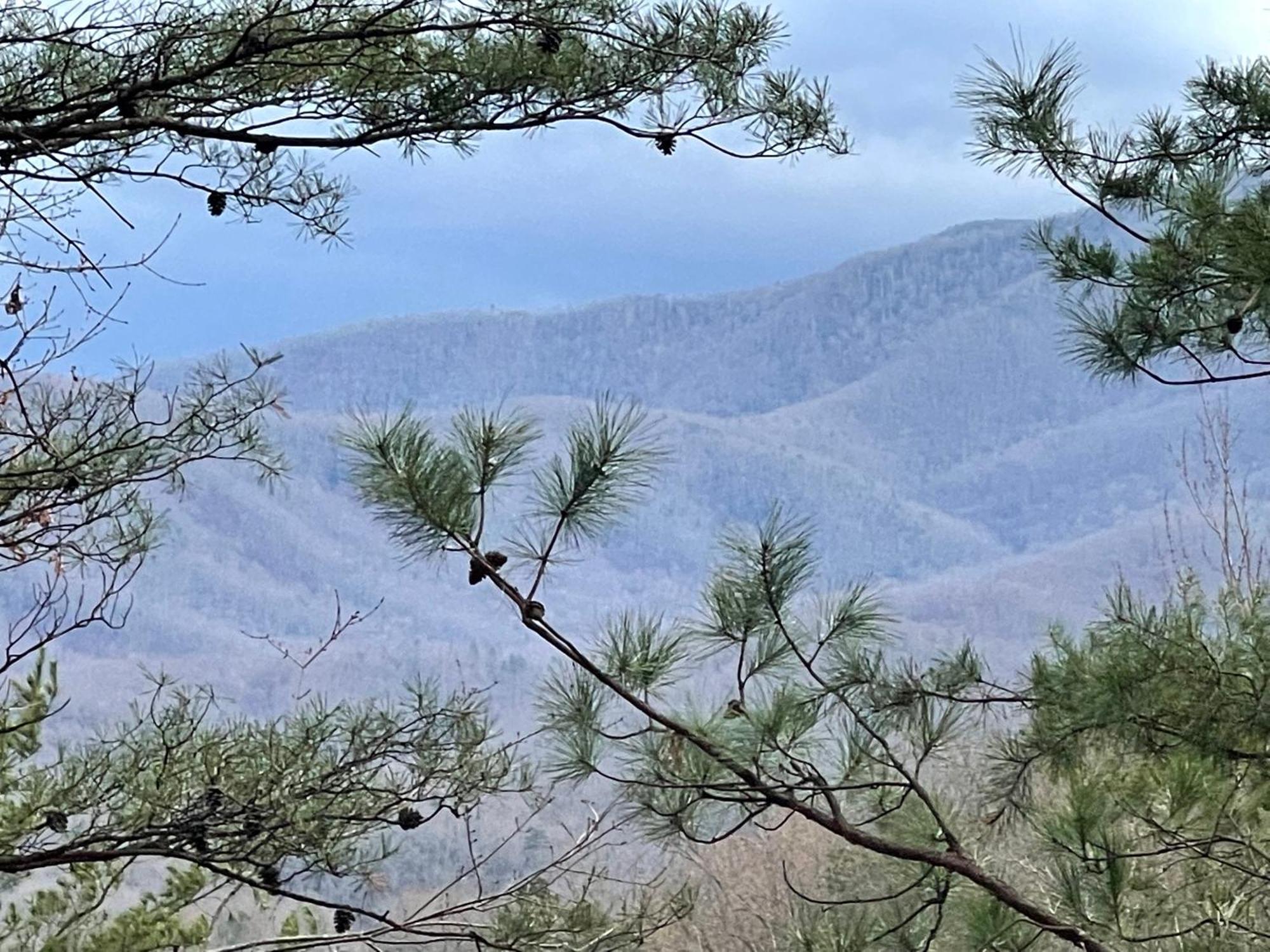 Mountain Love Nest Gatlinburg Buitenkant foto